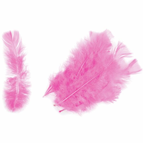 Feathers - Turkey - Packs - Image 11