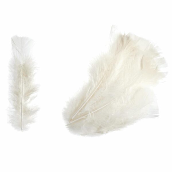 Feathers - Turkey - Packs - Image 2