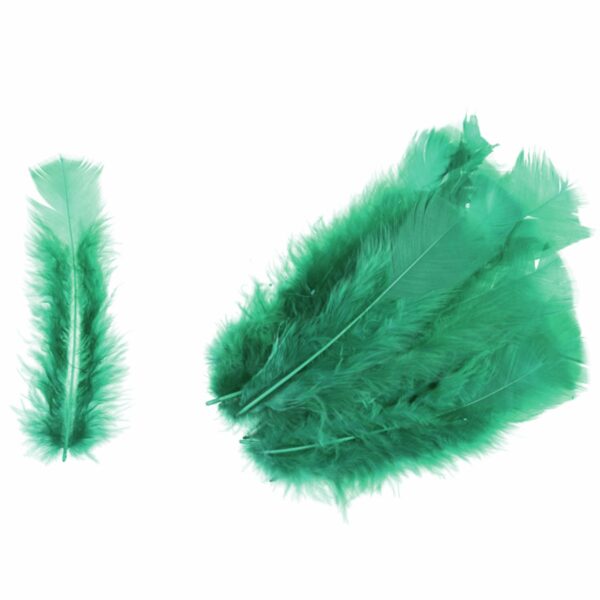 Feathers - Turkey - Packs - Image 10