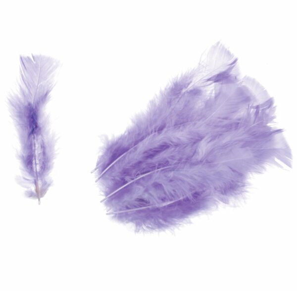 Feathers - Turkey - Packs - Image 9
