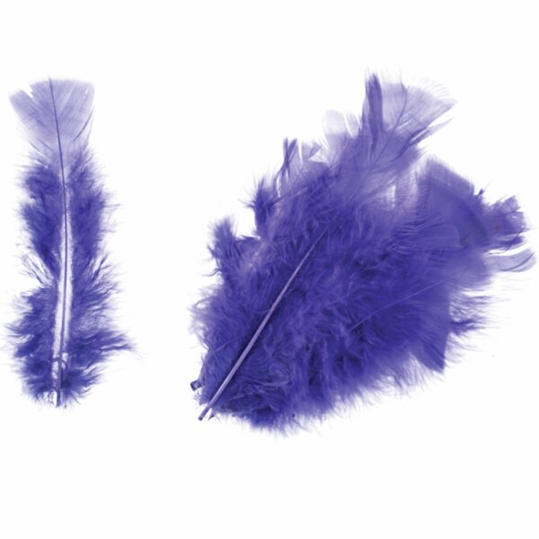 Feathers - Turkey - Packs - Image 8