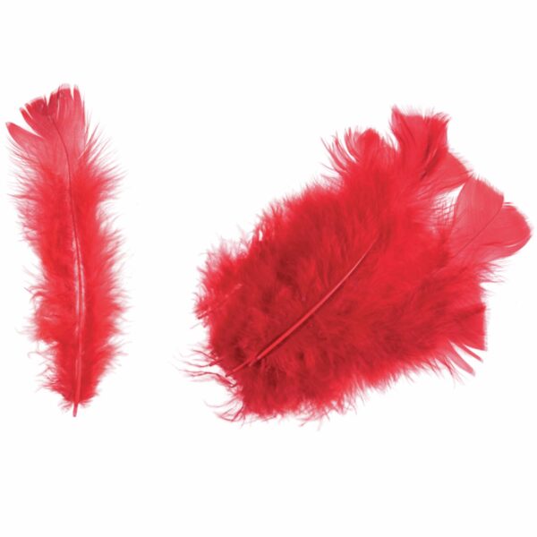 Feathers - Turkey - Packs - Image 7
