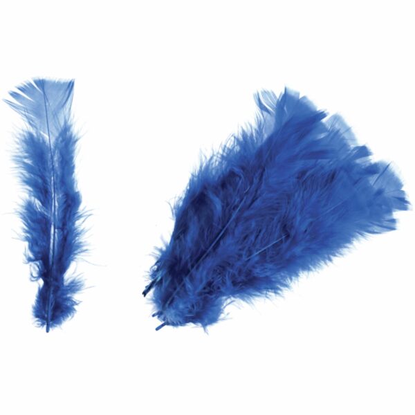 Feathers - Turkey - Packs - Image 6