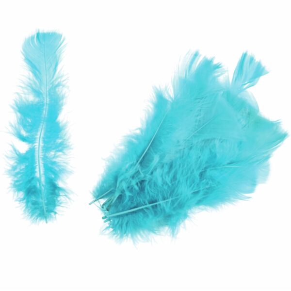 Feathers - Turkey - Packs - Image 5