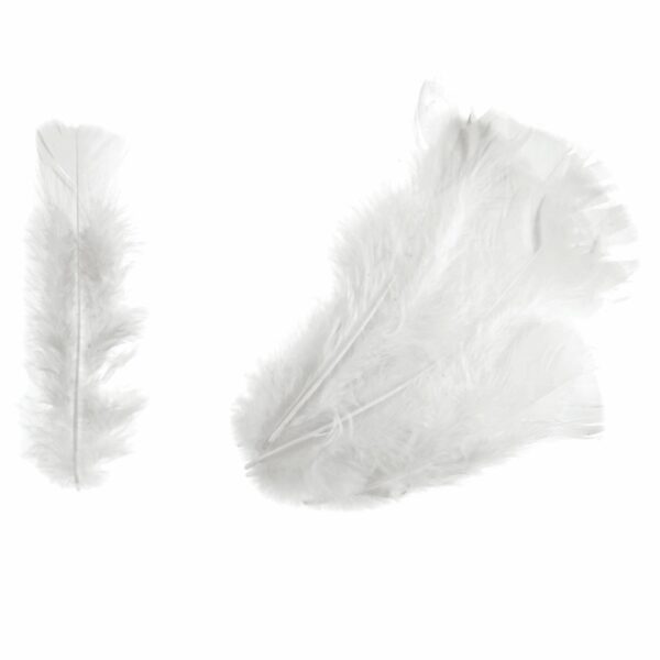Feathers - Turkey - Packs - Image 4