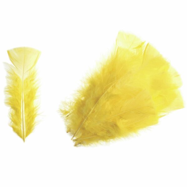 Feathers - Turkey - Packs - Image 3
