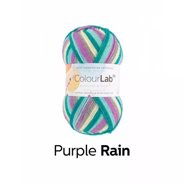 Colour Lab - Double Knit - 100% Yorkshire Wool- West Yorkshire Spinners (100g) - Image 4