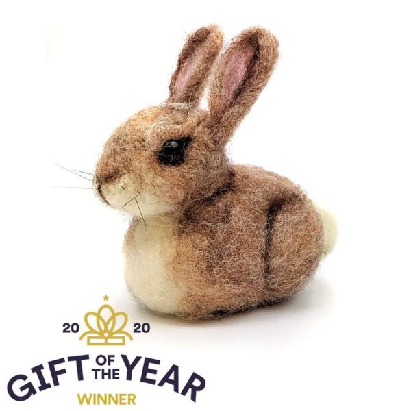 Baby Bunny - Needle Felting Kits - Crafty Kit Company