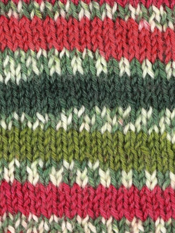 Sock Knitting Workshop with West Yorkshire Spinners' Christmas Special Yarns - Saturday 11 October 2025 (10am -4pm) York - Image 8