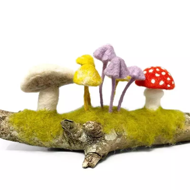 Woodland Toadstools -  Needle Felting Kit - Crafty Kit Company