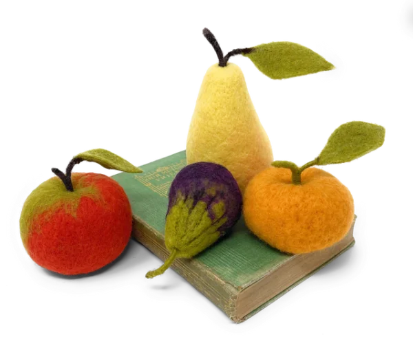 Seasonal Fruit - Needle Felting Kit - Crafty Kit Company