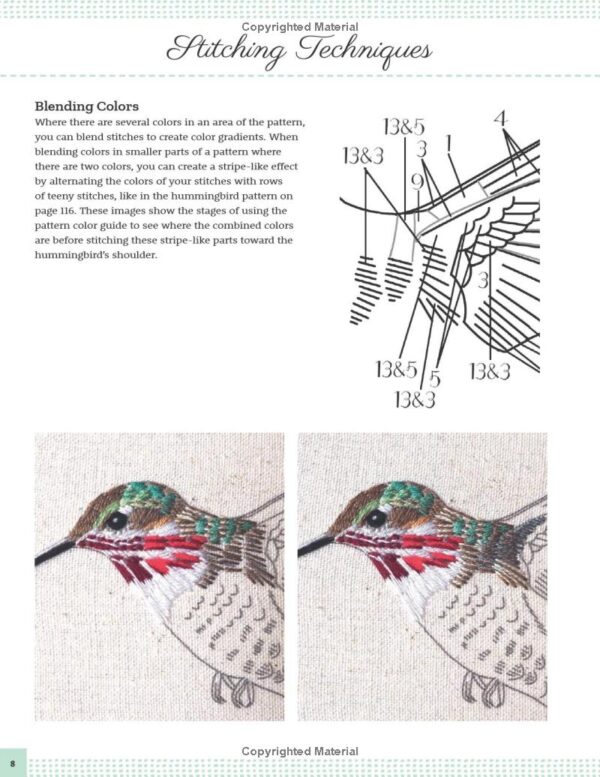 Embroidery Made Easy: Beautiful Birds: Easy techniques for learning to embroider birds by Beth Hoyes - Image 4