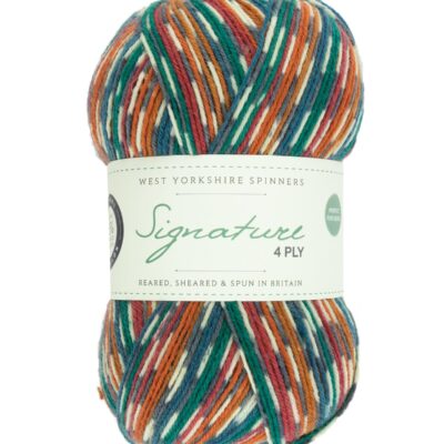 Signature Sock Wool- 4ply - West Yorkshire Spinners (100g)