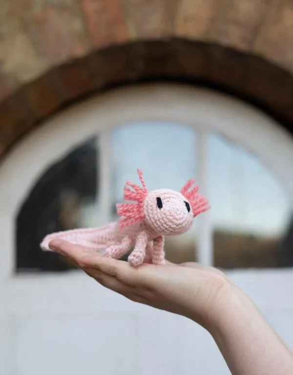 Danielle the Axolotl (Easy) - Mini Crochet Kit - Toft