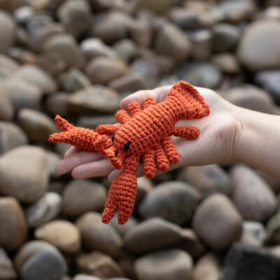 Jordan The Lobster (Beginner/Intermediate) Mini Crochet Kit - Toft